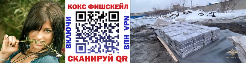 КОКАИН Fish Scale  мега ссылка  Губкинский 