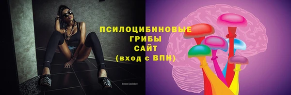 амф Белоозёрский