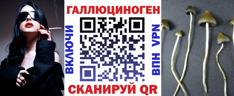 Псилоцибиновые грибы GOLDEN TEACHER  как найти закладки  Губкинский 